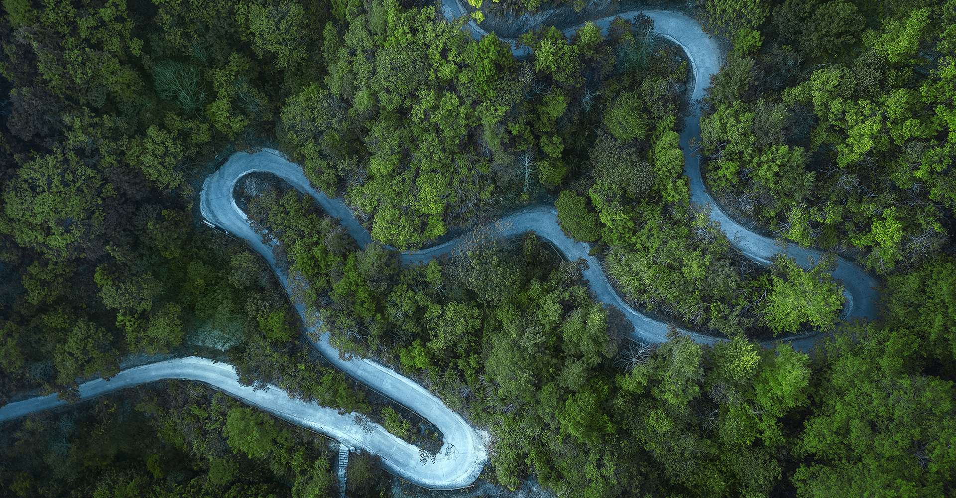 佰森園?比實木更安全